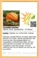 Preview: Cucurbita maxima * Speisekürbis 'Atlantic Giant' (Pumpkin) * 10 Samen